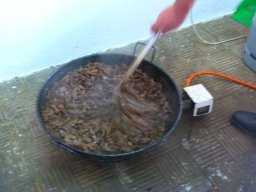 XIX Concentracion - 2012